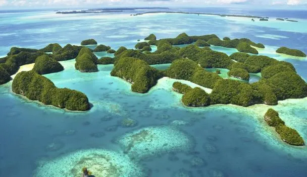 Panduan Lengkap Travelling ke Negara Palau: Petualangan di Surga Pasifik
