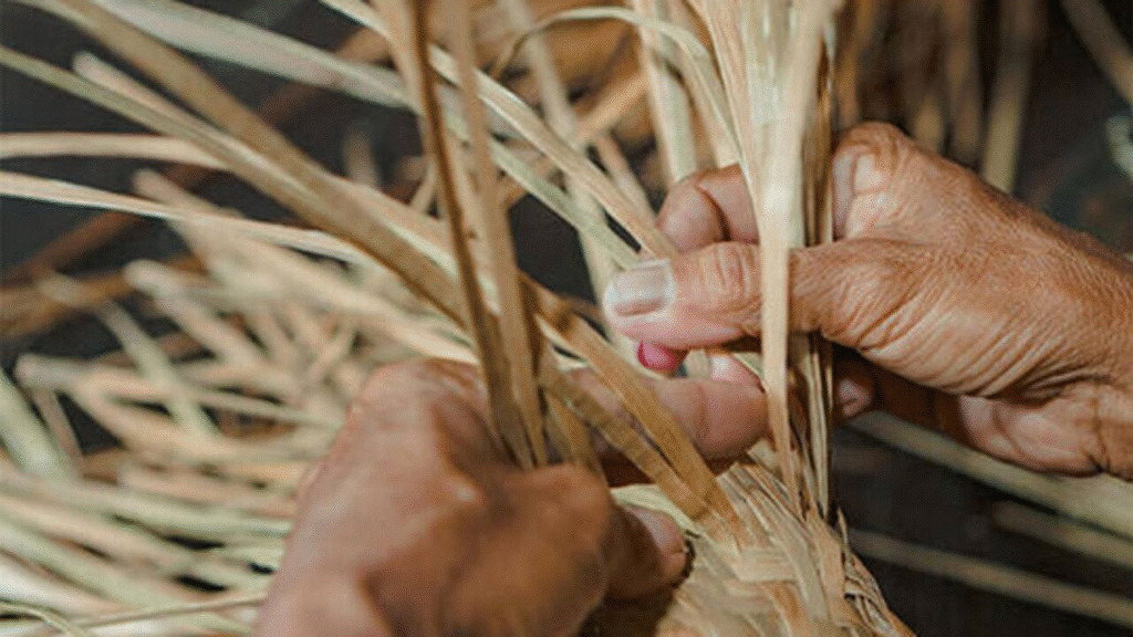 Praktik Budaya yang Justru Merusak Alam: 7 Tradisi yang Mengancam Lingkungan