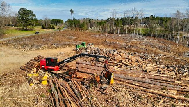 Praktik Budaya yang Justru Merusak Alam: 7 Tradisi yang Mengancam Lingkungan