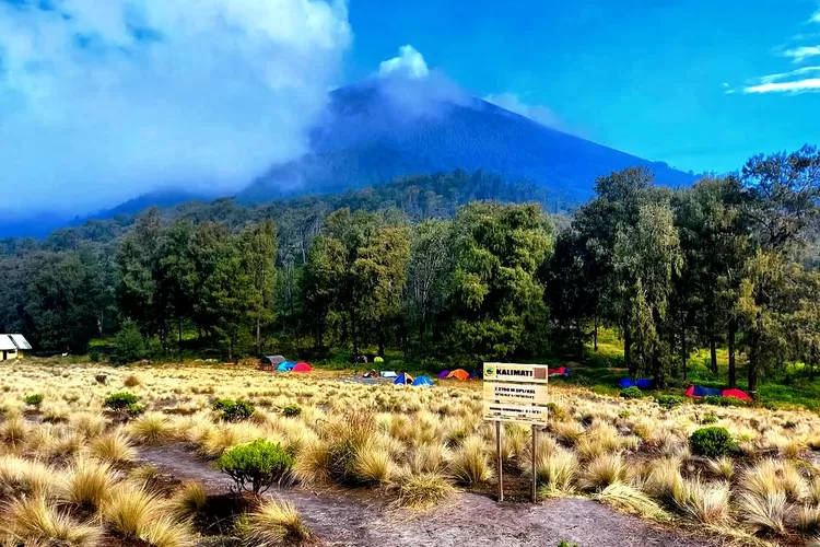 3 Jalur Pendakian Ekstrem 2025: Tantangan & Persiapan Wajib untuk Petualang Sejati