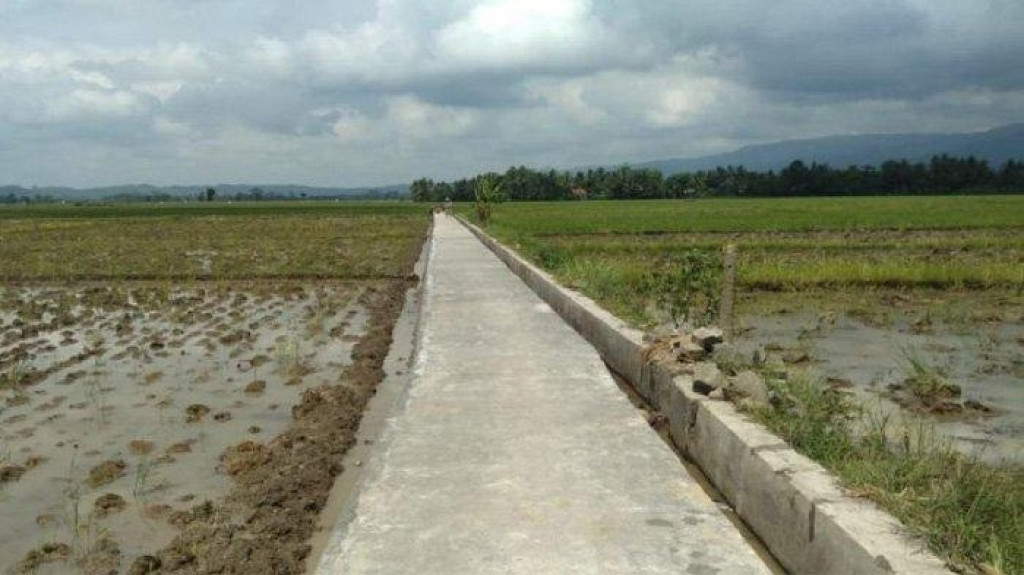 Gaya Hidup Desa 2025: Kedamaian dan Ketenangan Alam Asri - Tren Baru Gen Z Indonesia