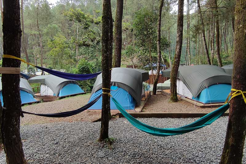 Hutan Pinus Rahong: Camping, Hammock & Tubing Viral 2025