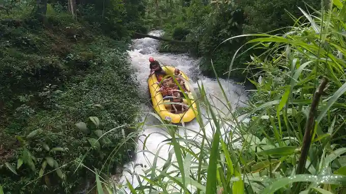 Hutan Pinus Rahong: Camping, Hammock & Tubing Viral 2025