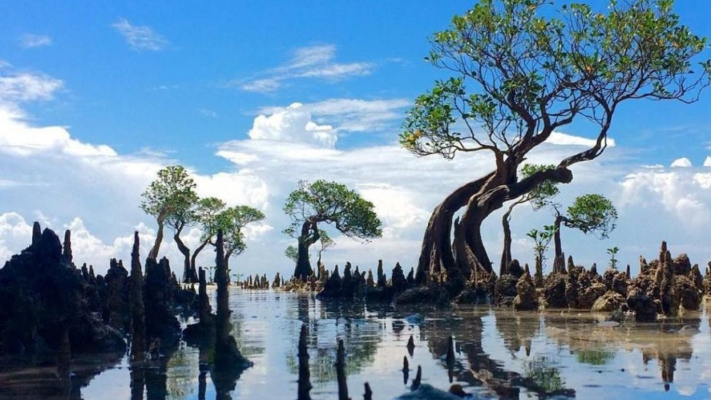 Hidden Gem Sumba: Savana, Walakiri, Ratenggaro 2026