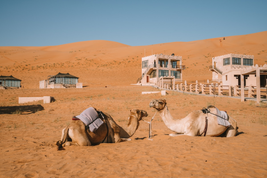 Oman Desert Wadi Camps Petualangan Unik 2026